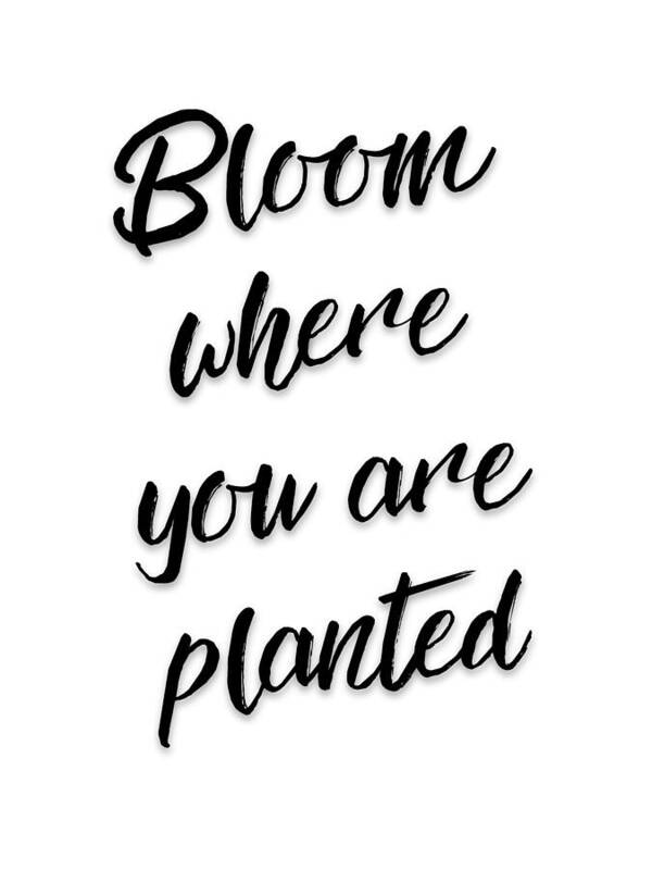 Bloom where you are planted - Art Print