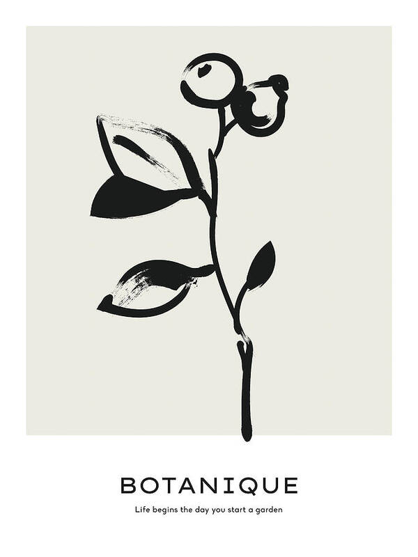 Botanique - Art Print