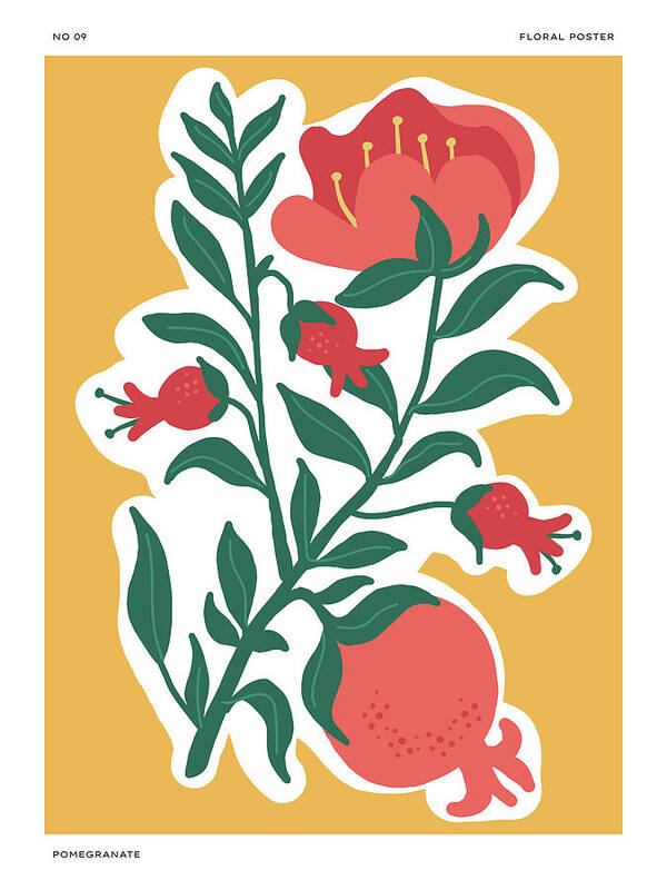 Pomegranate - Art Print