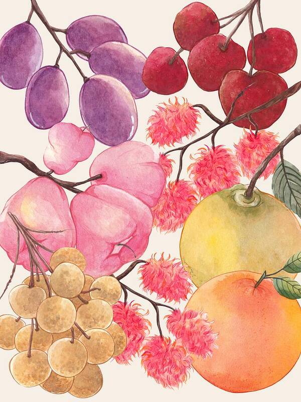 Vintage Style Fruits No.8 - Art Print