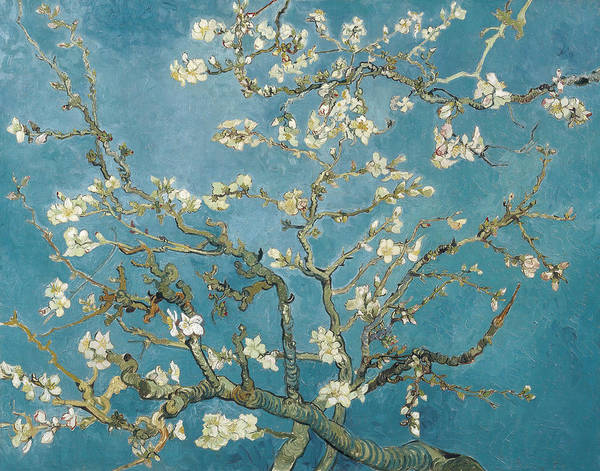 Almond Blossoms - 1890 - Art Print