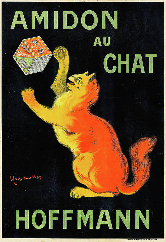 Amidon Au Chat - Art Print