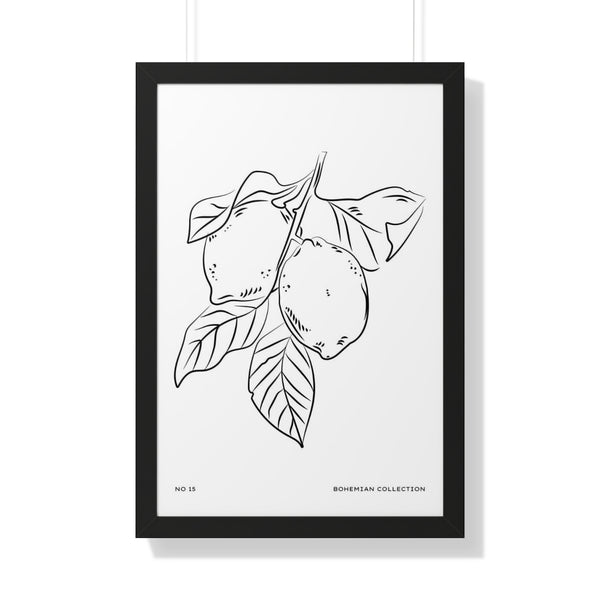 Sicilian Lemons Illustration No 15 - Framed Print