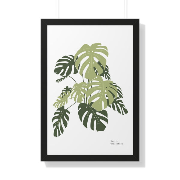 Monstera plant drawing - Framed Print