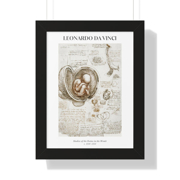 Leonardo da Vinci - Studies of the Foetus in the Womb - Framed Print