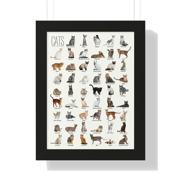 Cat Breeds - Framed Print