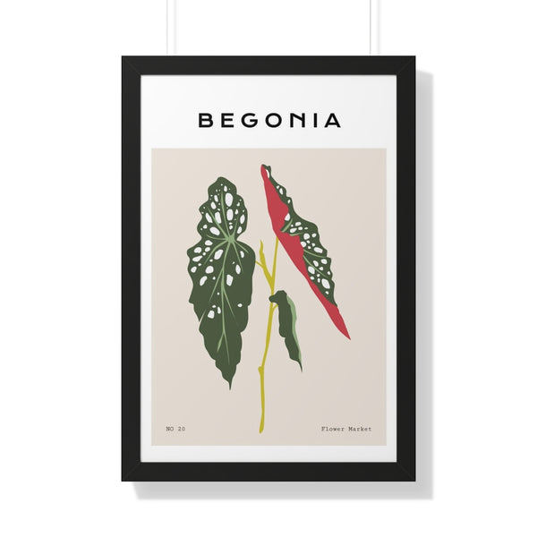 Begonia Plant - Framed Print