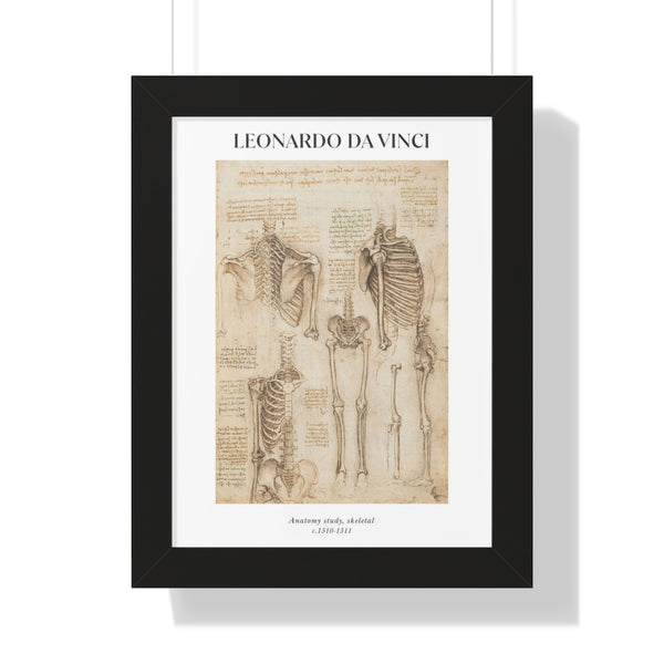 Leonardo da Vinci - Anatomy study, skeletal - Framed Print