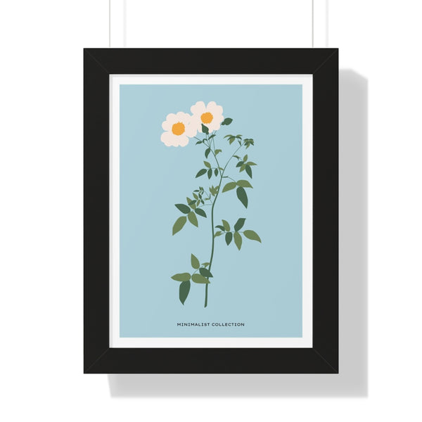 Daisy - Framed Print