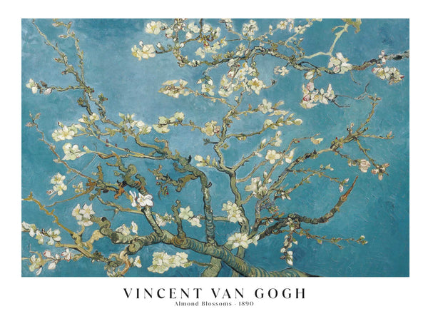 Vincent Van Gogh - Almond Blossoms - Poster