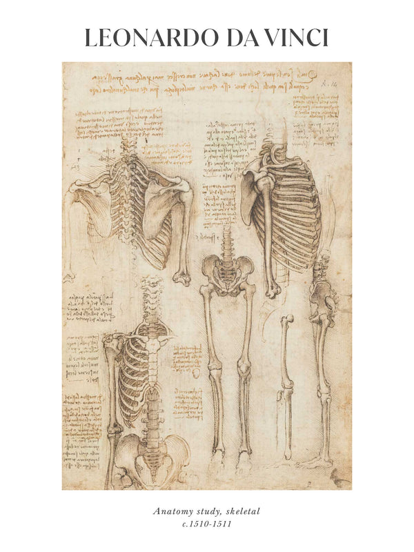 Leonardo da Vinci - Anatomy study, skeletal - Poster