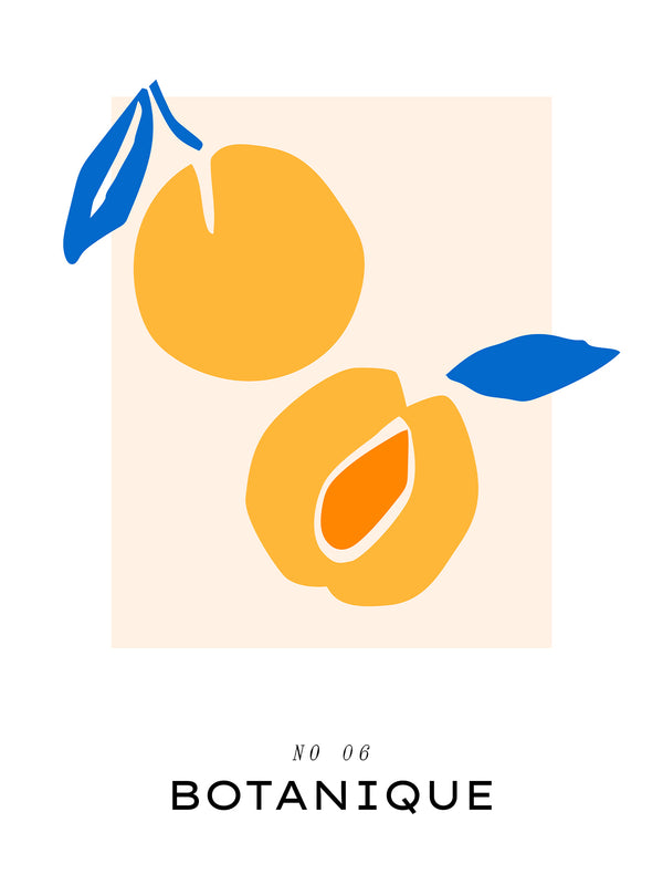 Apricots - Poster