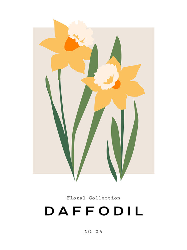 Daffodil - Poster