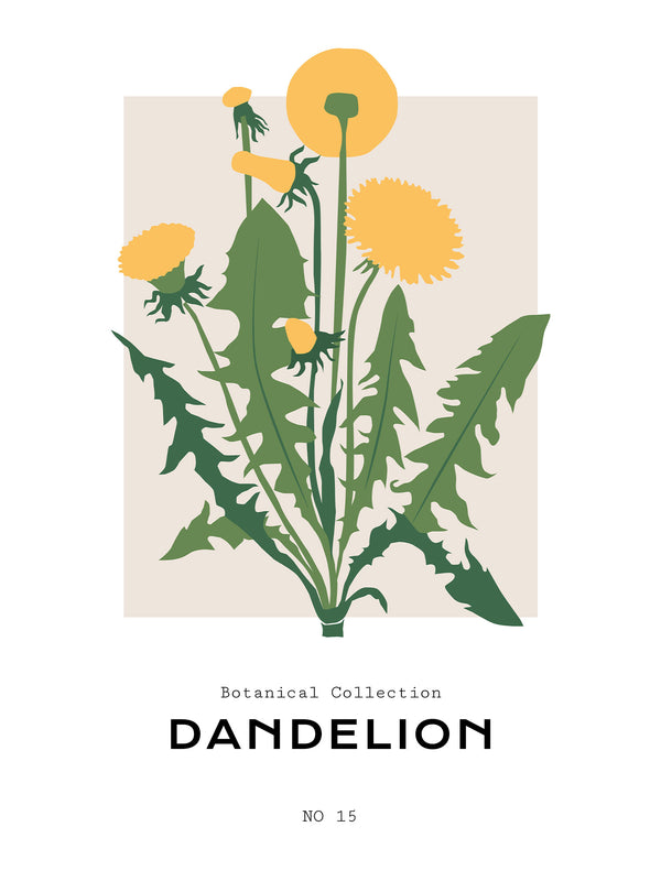 Dandelion - Poster