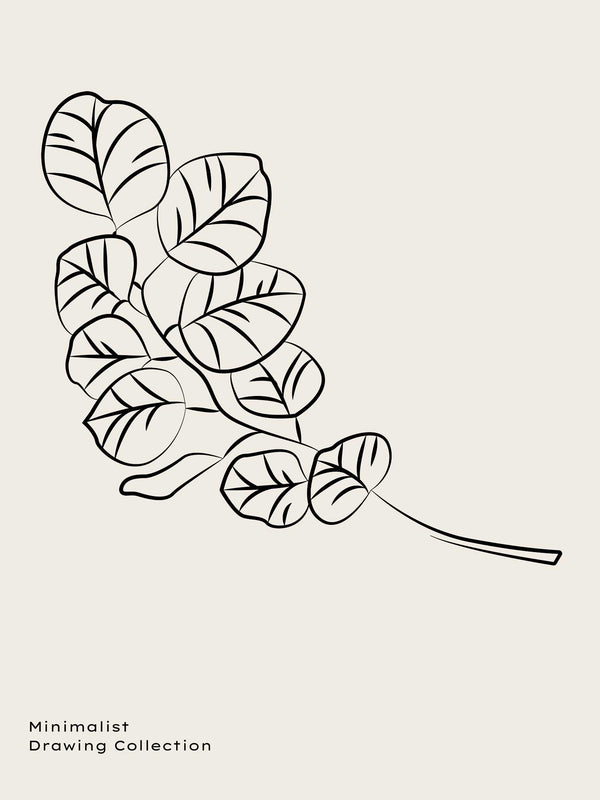 Eucalyptus plant Illustration - Poster