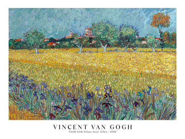 Vincent van Gogh - Field with Irises near Arles - Poster