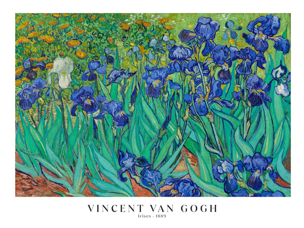 Vincent Van Gogh - Irises - Poster