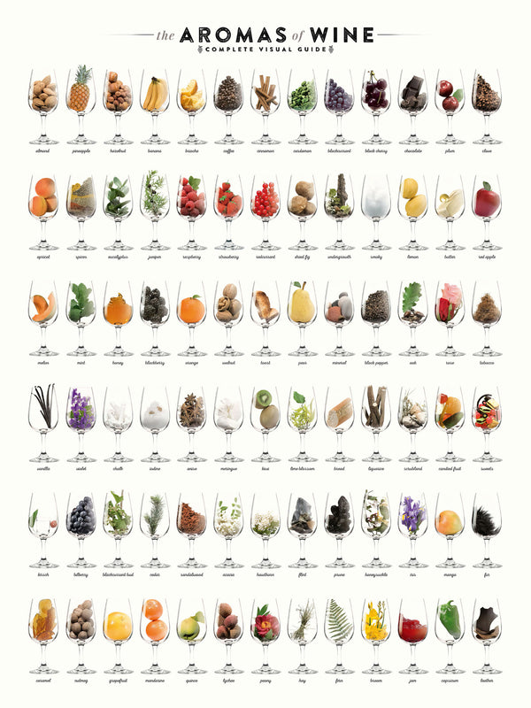 The Aromas of Wine - Poster