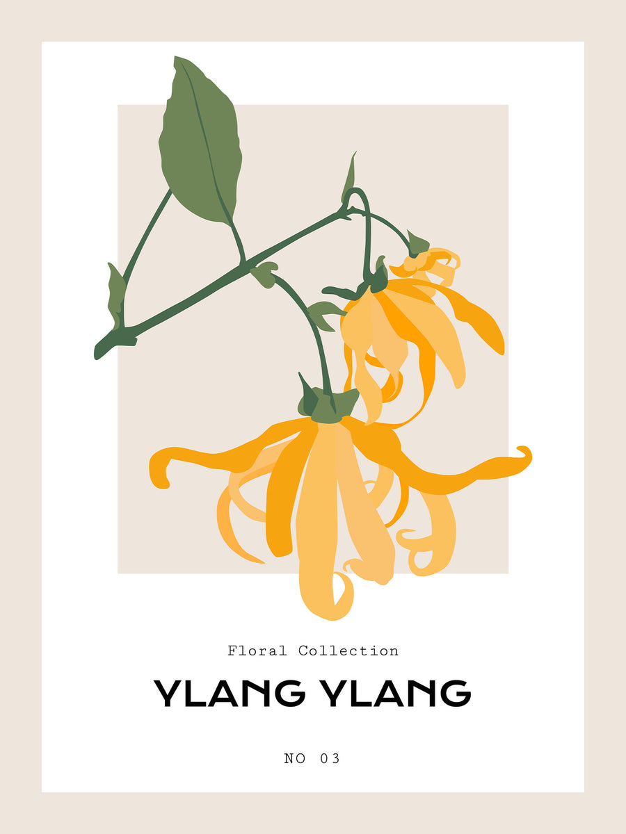 Ylang Ylang - Poster