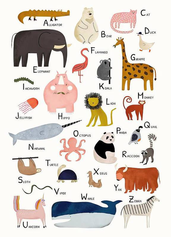 Animal Alphabet A-Z - Art Print