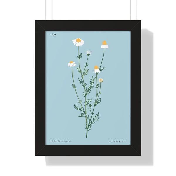 Marguerite - Framed Print