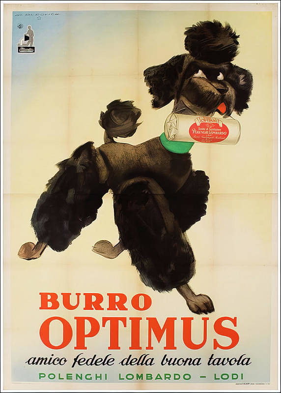 Burro Optimus Vintage Advert - Art Print