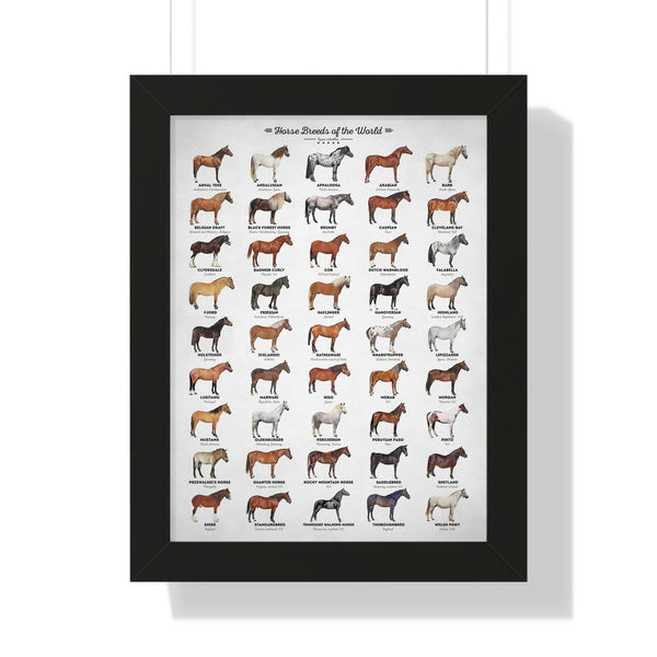 Horse Breeds - Framed Print