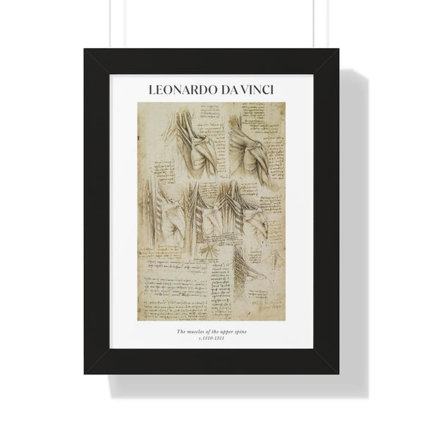 Leonardo da Vinci - The muscles of the upper spine - Framed Print