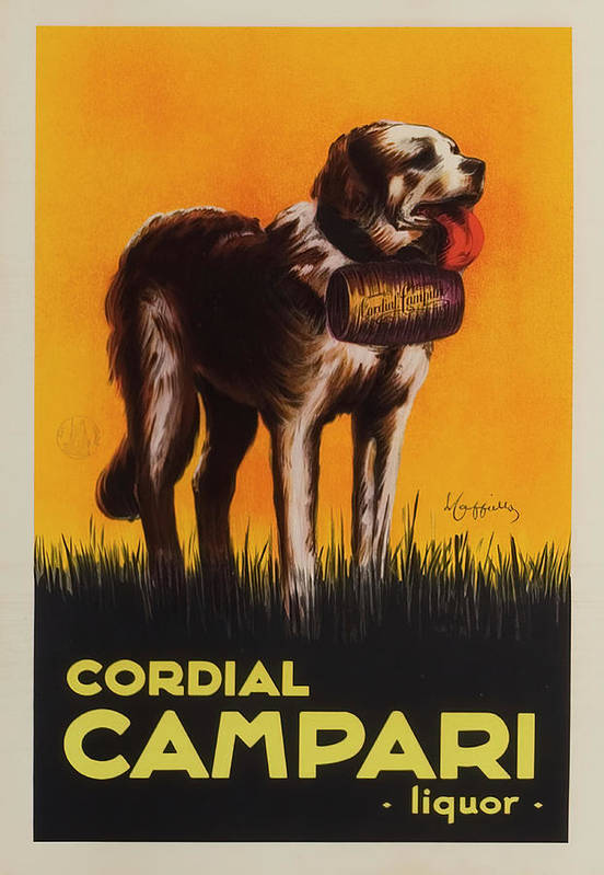 Cordial Campari dog - Art Print
