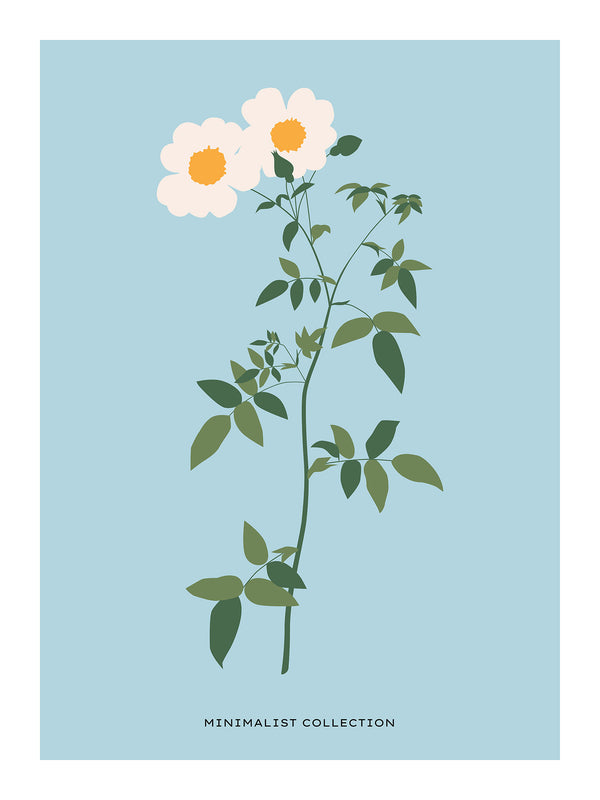 Daisy - Poster
