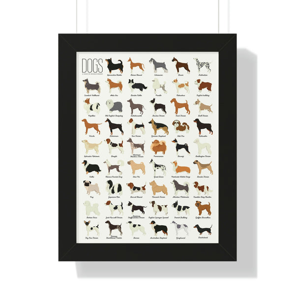 Dog Breeds - Framed Print