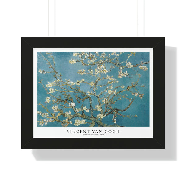 Vincent Van Gogh - Almond Blossoms - Framed Print