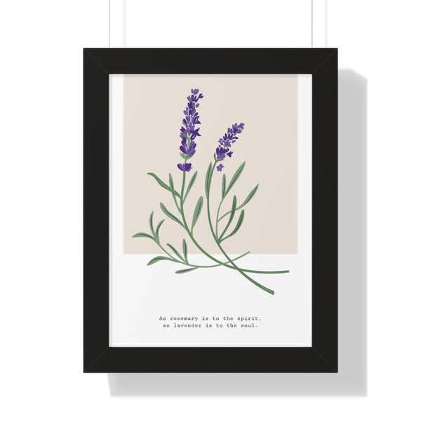 Lavender - Framed Print