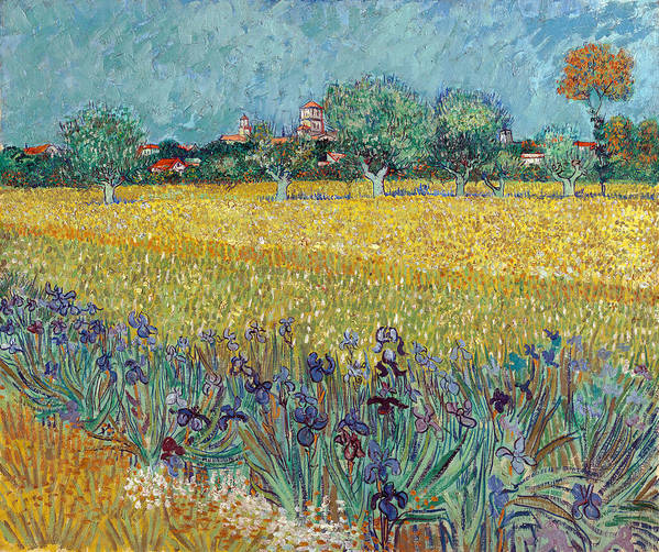 Field with Irises near Arles - May 1888 - Art Print