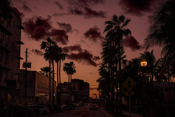 Miami Art District With Palm Trees During Sunrise - Art Print