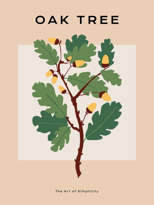 Oak tree - Poster