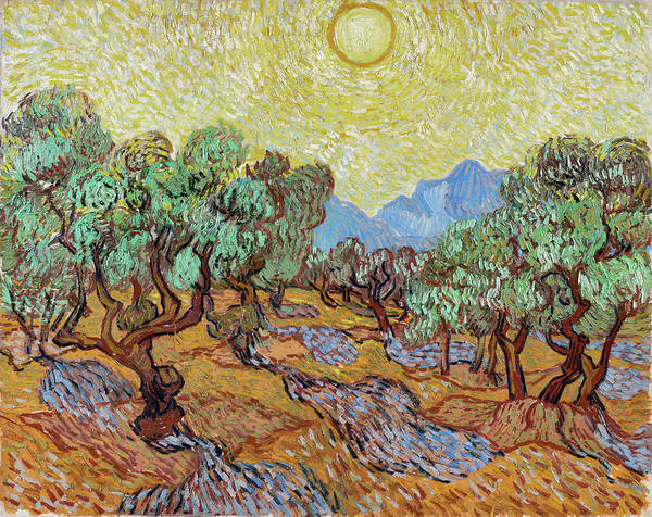 Olive Trees with Yellow Sky and Sun - November 1889 - Art Print