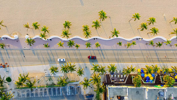 Palm tree lined road in Miami Florida - Art Print