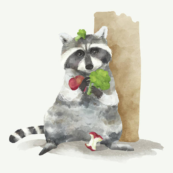 Raccoon watercolour painting - Art Print