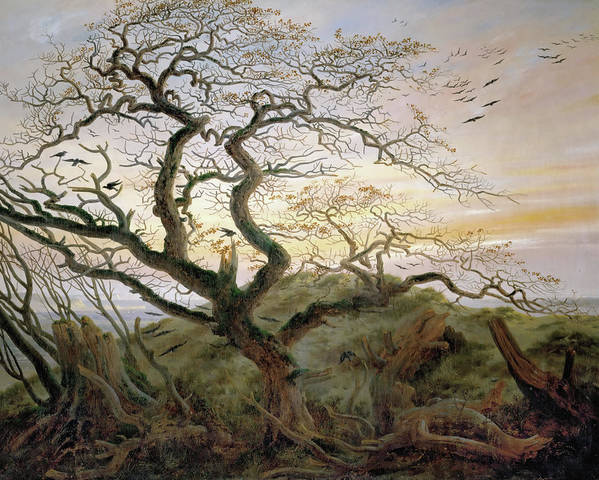Raven tree - Art Print