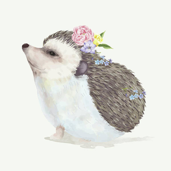 Watercolour baby hedgehog illustration - Art Print