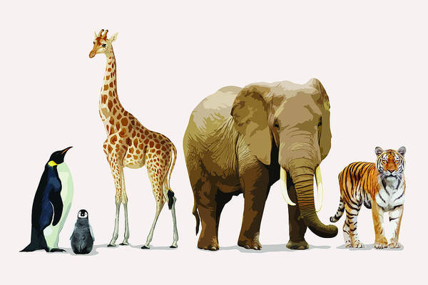 Zoo animal border, aesthetic illustration - Art Print